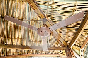 Beautiful ceiling fan decoration interior