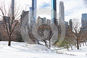 Beautiful Central Park Winter Landscape with Snow and the Midtown Manhattan Skyline in New York City