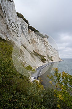 Beautiful chalk cliffs at Mons Klint in Denmark