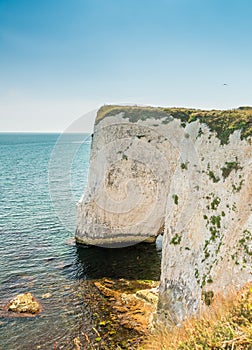 Beautiful chalk formation Old Harry Rocks in Dorset near Swanage