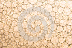 Beautiful Champagne Gold Bubbles texture