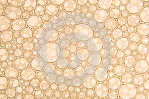 Beautiful Champagne Gold Bubbles texture