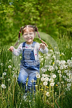 A beautiful cheerful funny girl with two tails runs through a field with dandelions.summer is here