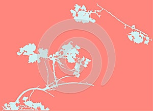 Beautiful cherry or sakura branch. Blue plant silhouette on pink background. Vector illustration. Decorative Design elements.