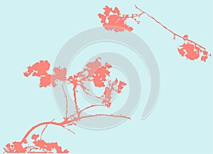 Beautiful cherry or sakura branch. Pink plant silhouette on a blue background. Vector illustration. Decorative Design elements.