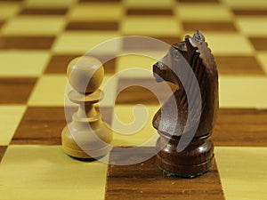 Beautiful chess game with different figures strategy fun culture photo