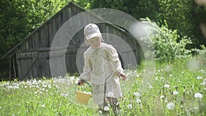 Beautiful child with dandelion flowers in park in summer. Happy kid having fun outdoors.