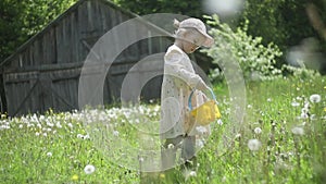 Beautiful child with dandelion flowers in park in summer. Happy kid having fun outdoors.