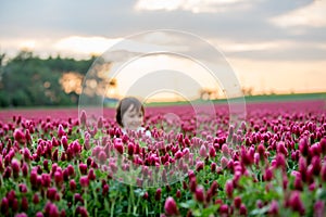 Beautiful child in gorgeous crimson clover field on sunset, gath