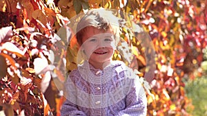 Beautiful child in sweater in the autumn nature. Happy child laughs outdoors on autumn leaves background. Toddler kid or