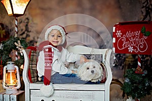 Beautiful child, toddler boy and maltese white puppy dog, sitting on a bench with christmas decoration