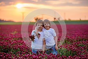 Beautiful children in gorgeous crimson clover field on sunset