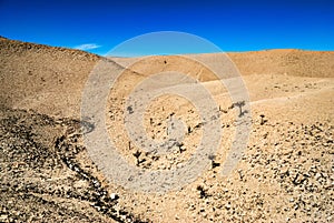 Beautiful Chilean landscape at Atacama desert