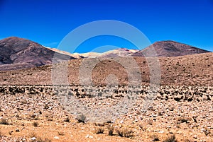 Beautiful Chilean landscape at Atacama desert