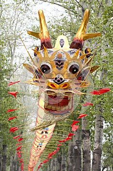 Beautiful Chinese Dragon Kite