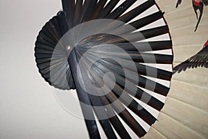 Beautiful Chinese fan to give air cool lid move photo