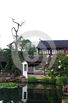 A beautiful Chinese garden