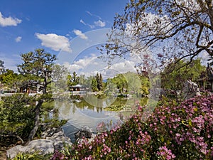 The beautiful Chinese Garden of Huntington Library