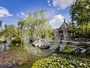 The beautiful Chinese Garden of Huntington Library