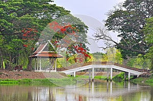 Beautiful Chinese Garden with lovely bridge and red flowers