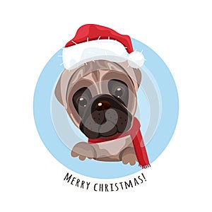 Beautiful Christmas background. Cute pug with Santa Claus hat.