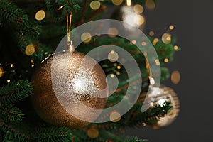 Beautiful Christmas ball hanging on fir tree branch against dark background, closeup