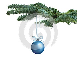 Beautiful Christmas ball hanging on fir tree branch against white background