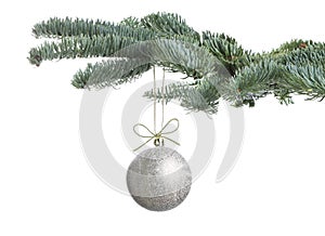 Beautiful Christmas ball hanging on fir tree branch against white background