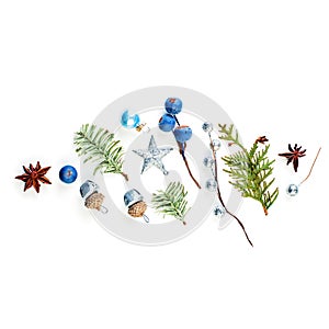 Beautiful Christmas card. Xmas winter composition of blue berries, silver star and green fir branch on white background