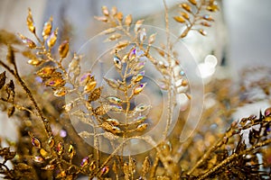 Beautiful Christmas decoration made of golden twigs