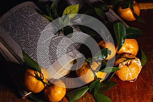 Beautiful Christmas decoration with tangerines in the night light garlands. Citrus still life. The symbol of the new year