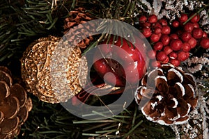 Beautiful Christmas decorations: a cone with snow, a red apple, a golden cone and a golden ball, a red curler,