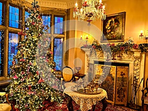 Beautiful Christmas decorations img