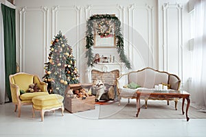 Beautiful Christmas interior. New year decoration. Living room with fireplace