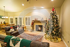 Beautiful Christmas tree and fireplace with cat relaxing on couch