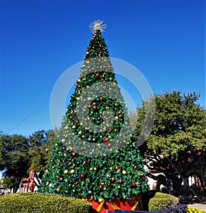 Beautiful christmas tree in the Fort Worth Stockyards photo