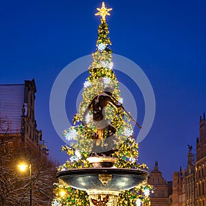 Beautiful Christmas tree and Neptune's Fountain in Gdansk at winter. Poland