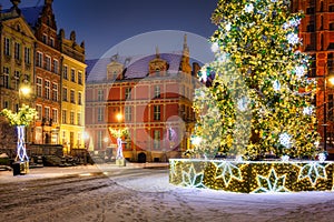 Beautiful Christmas tree in the old town of Gdansk at wintery night. Poland