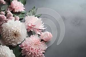 Beautiful chrysanthemum flowers on a gray background. Festive floral background. Generative AI illustration