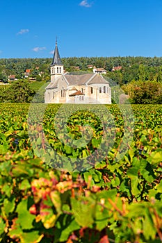 Beautiful church of Givry, nestled in the vineyards of Burgundy, France