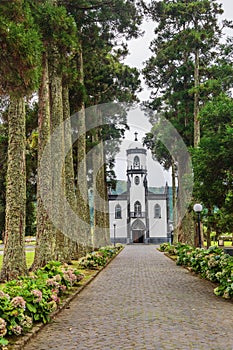 Church of Sao Nicolau Saint Nicolas with an alley of trees and hydrangea flowers Sao Miguel island, Azores, Portugal