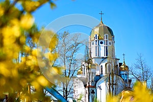 Beautiful church,sky and bright yellow spring flowers
