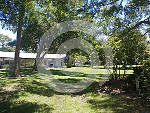 Beautiful church yard under majestic oak trees.