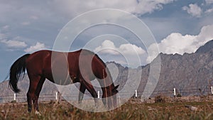 A beautiful, cinematic mountain landscape with a herd of wild horses in a meadow