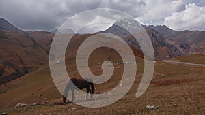 A beautiful, cinematic mountain landscape with a herd of wild horses in a meadow