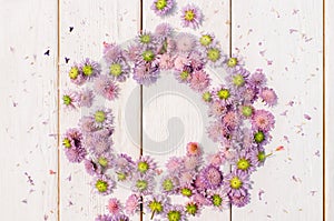 Beautiful circlet of aster flowers on white wood