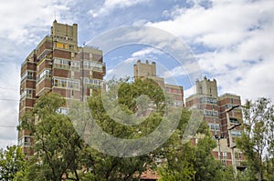 Beautiful city buildings and trees