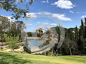 Beautiful city park with plants, trees, pond in Paloma park in Benalmadena near Malaga, Andalusia