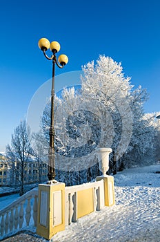 beautiful city park with trees covered with hoarfrost