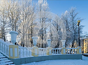 beautiful city park with trees covered with hoarfrost